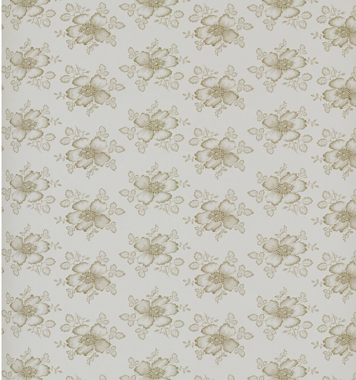 Dog Rose Wallpaper
