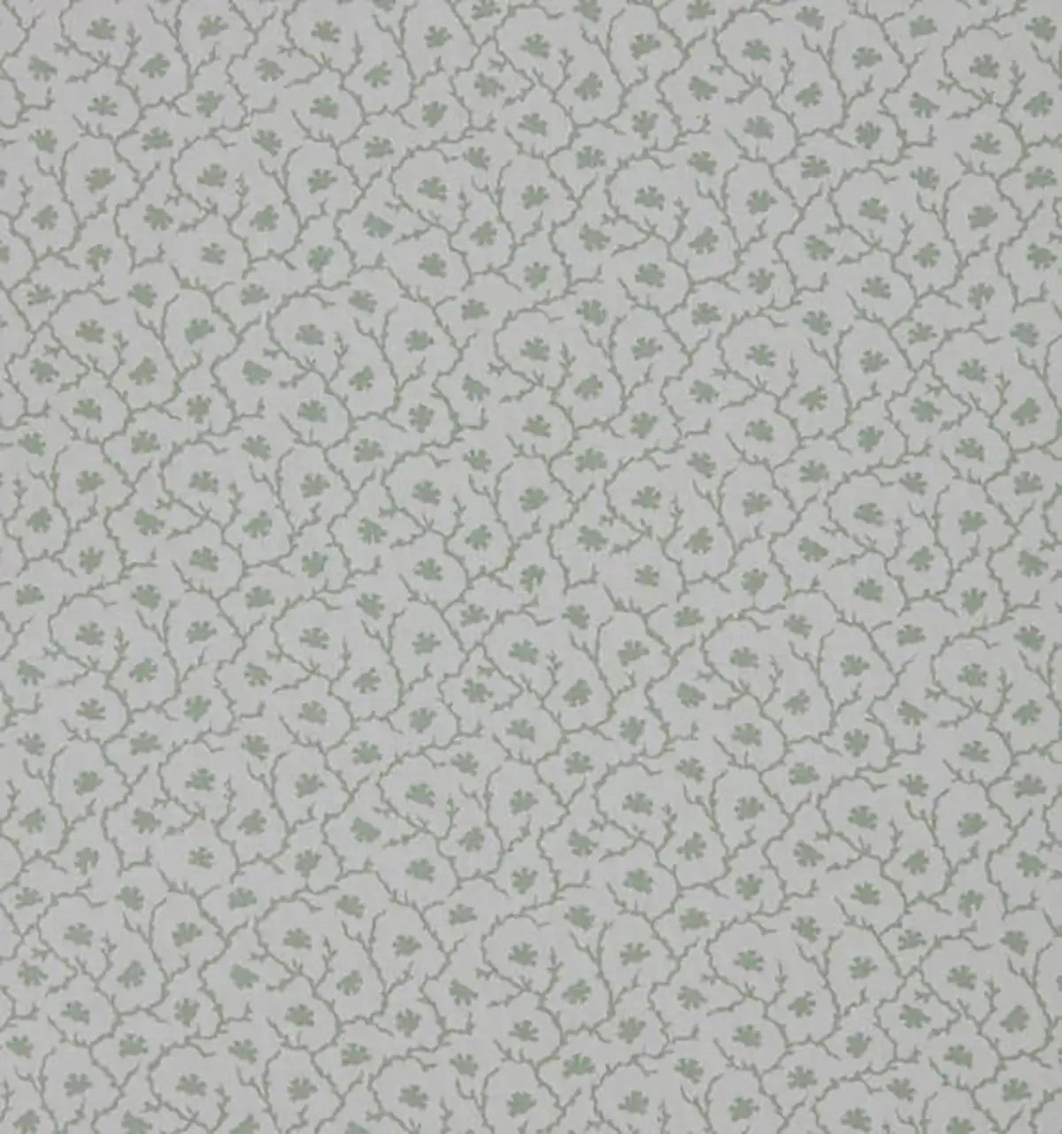 Maple Lining - Moss
