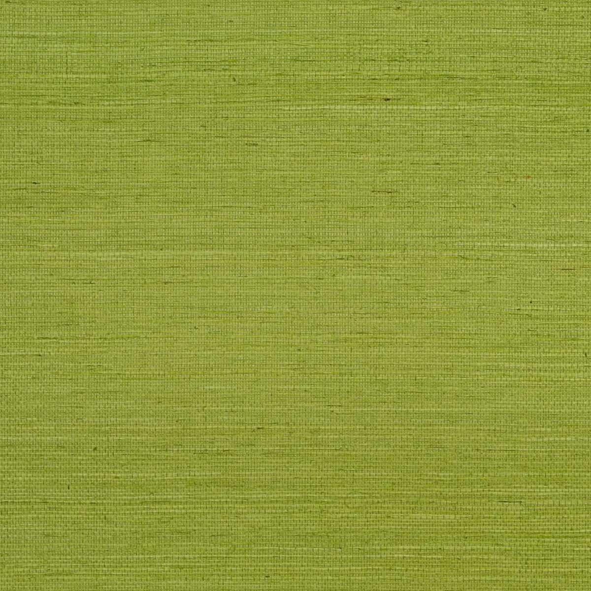 Sisal Wallpaper - Grass