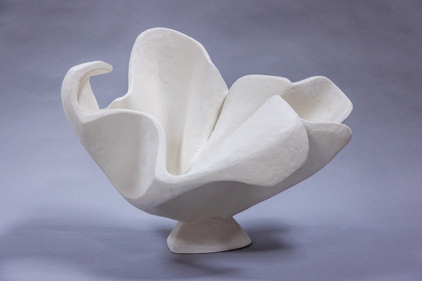 Rorschach Vessels - White Plaster