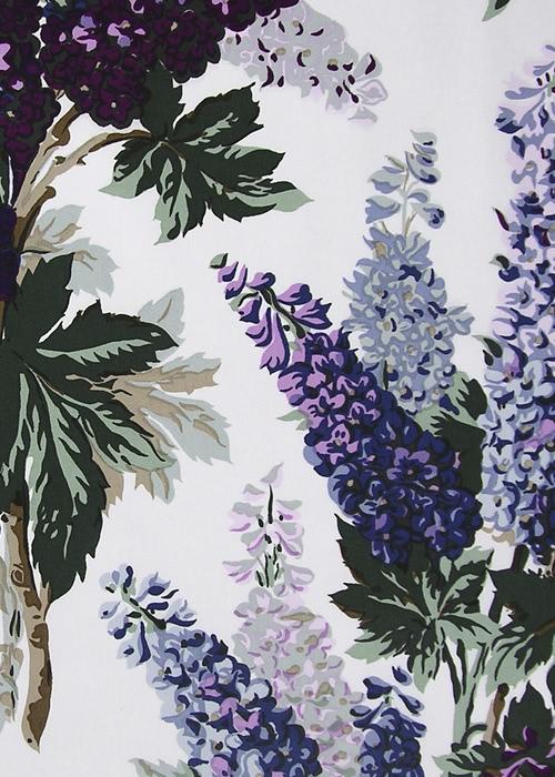Delphinium - White
