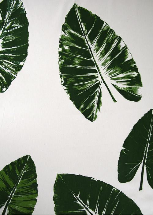 Banana Leaves - Green