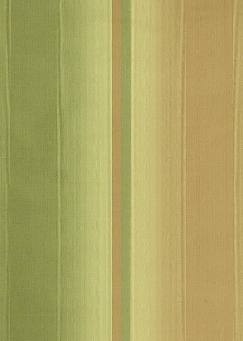 Rainbow Silk - Green / Coral