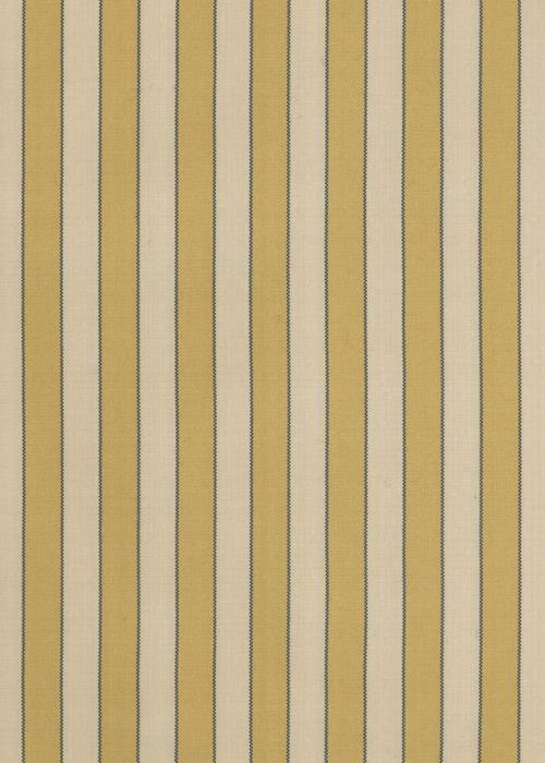 Jacqueline Stripe - Gold