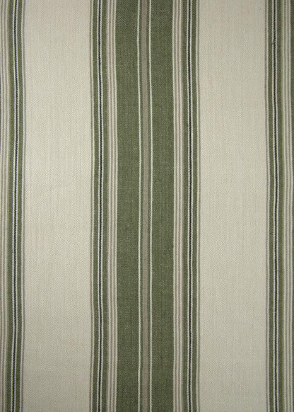 Armand Stripe - Catnip