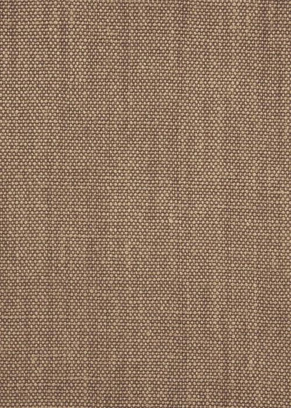 Arnolfini - Nutmeg