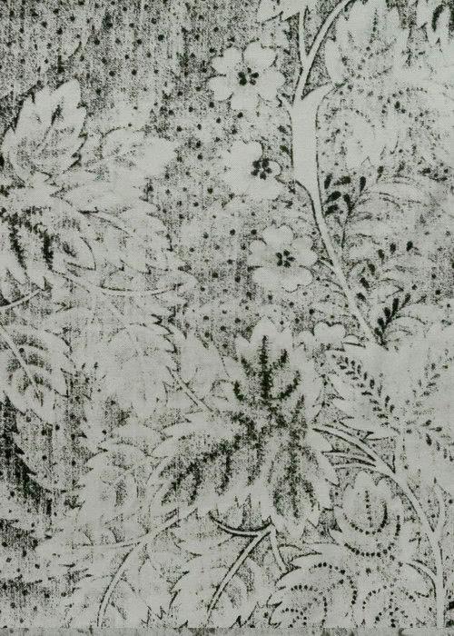Viburnum - Charcoal