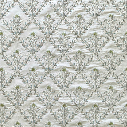 Aster - Cotton