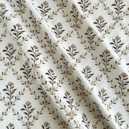 Aster - Clove