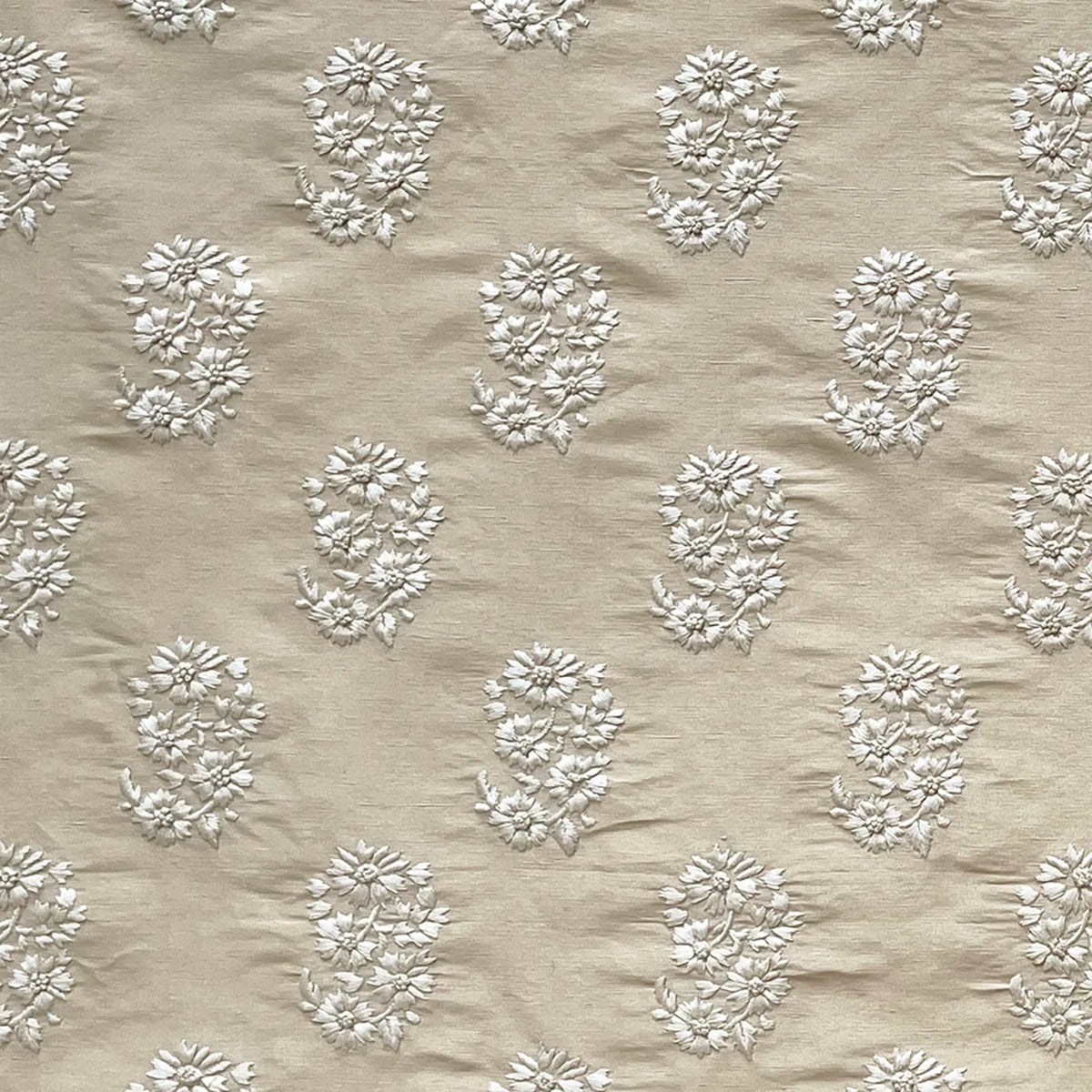 Marguerite - Sesame
