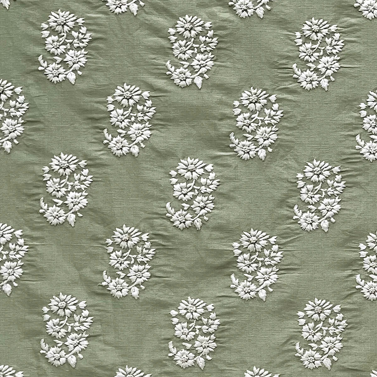 Marguerite - Clover
