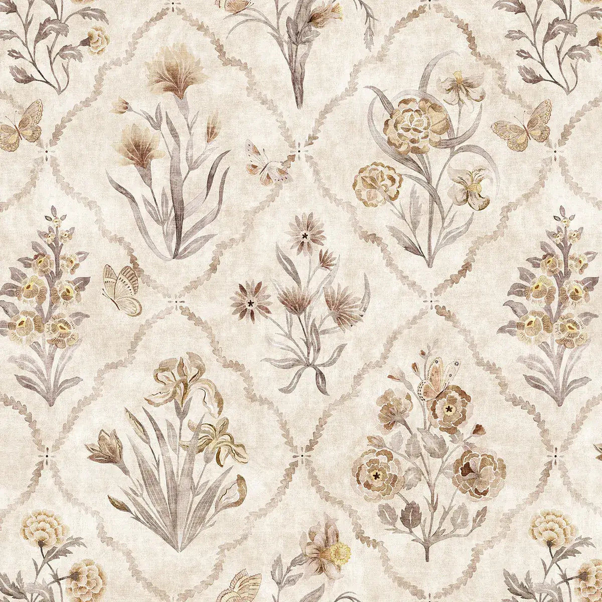 Papillon - Hazelnut