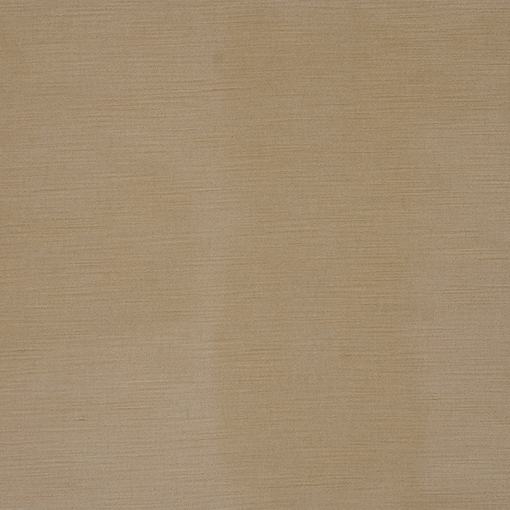 Haze 316 - 01 Oyster