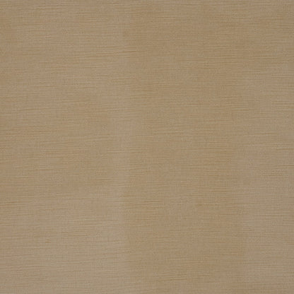 Haze 316 - 01 Oyster