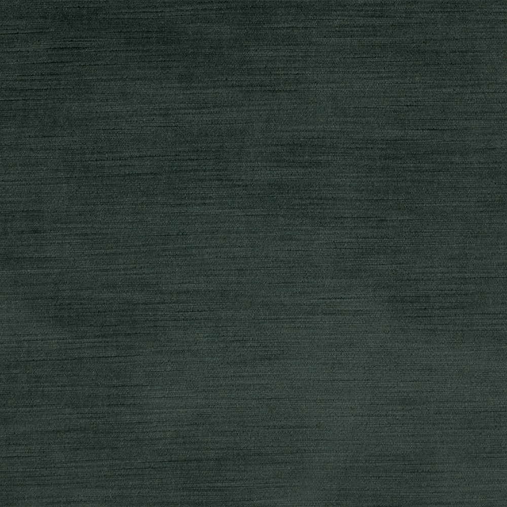Haze 316 - 11 Ilex