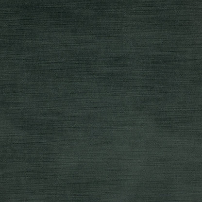 Haze 316 - 11 Ilex