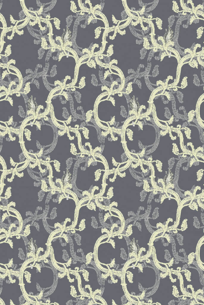 Hedera - Limited Stock - Anthracite / Lemon