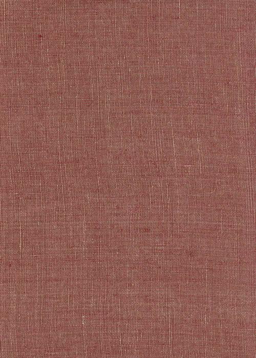 Penzance - Rhubarb