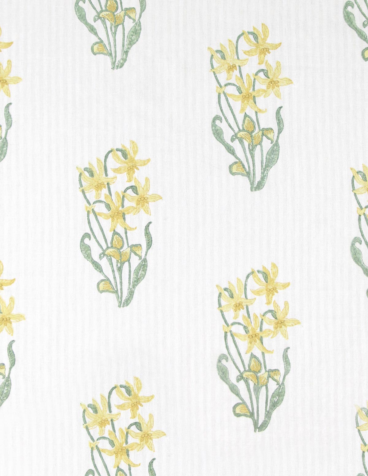 Laelia - Yellow/White