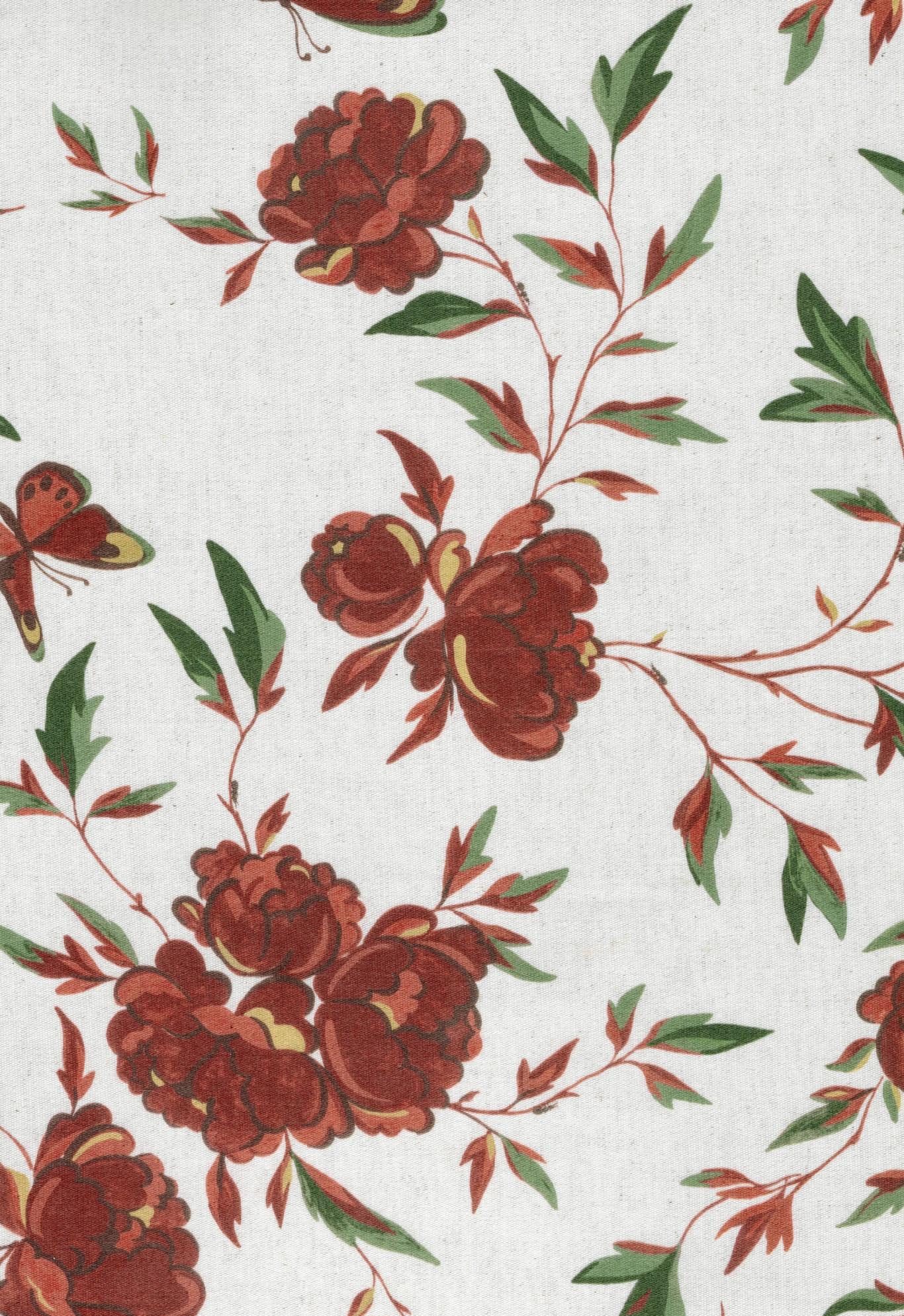 Tree Peony - Red