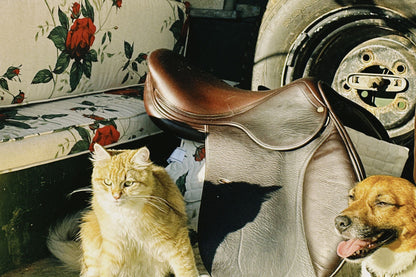 Rose Chintz - Red