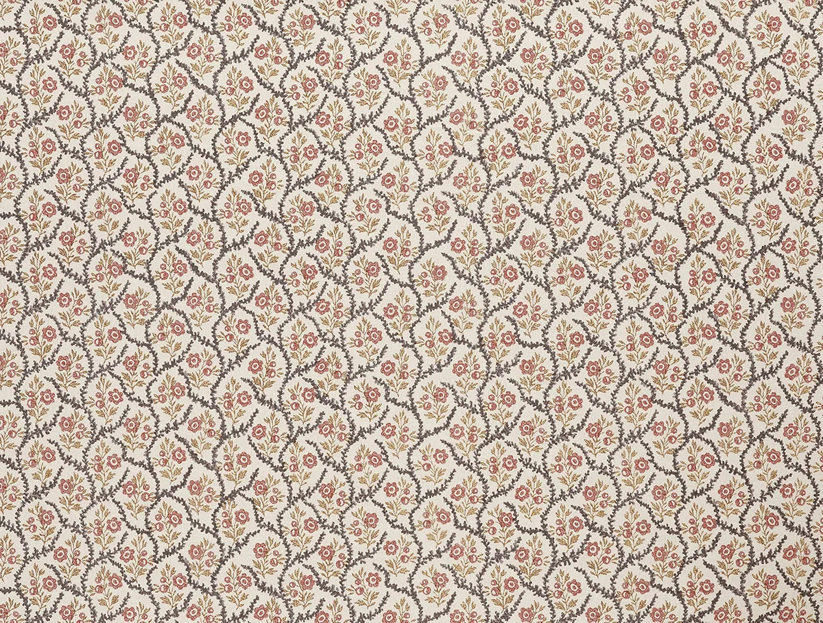 Alga - Original