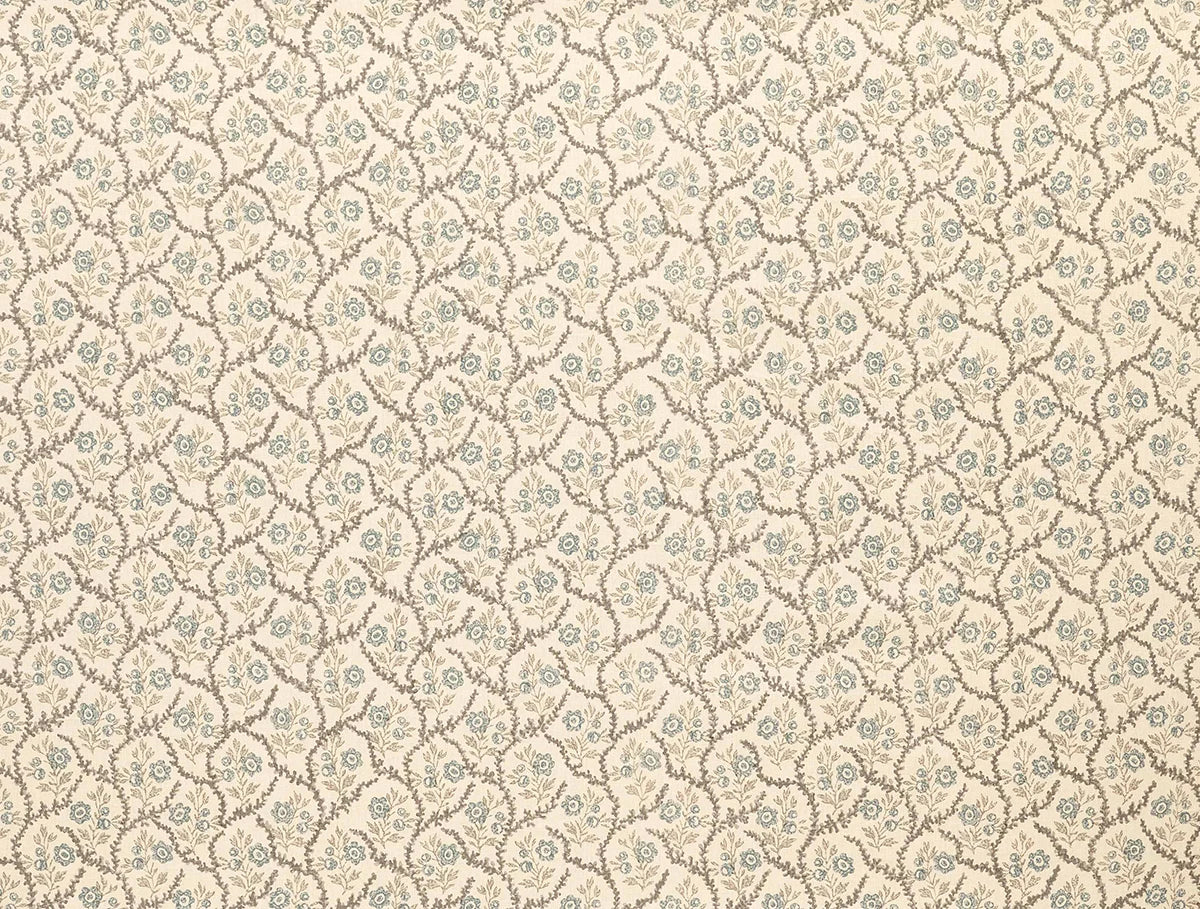 Alga - Dove