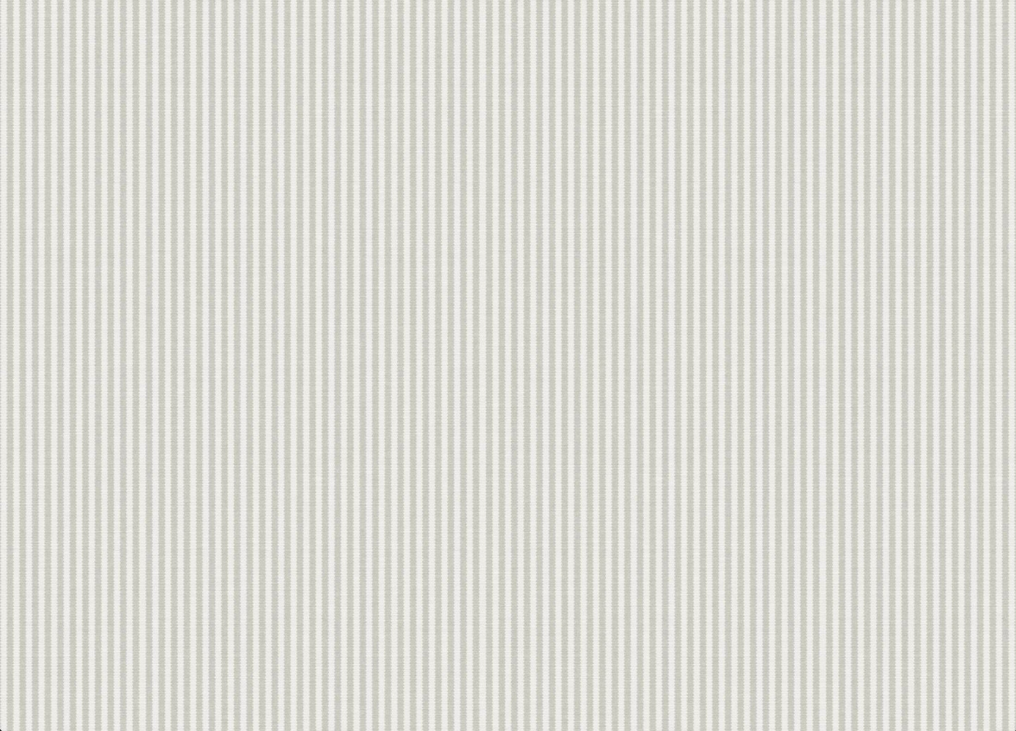 Audrey Wallpaper - Pigeon