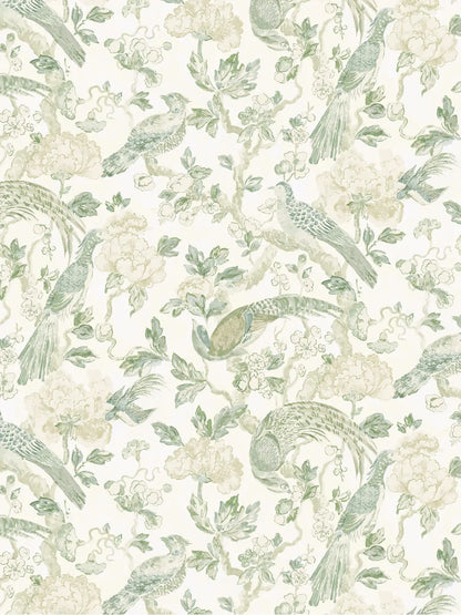 Aviary - Seaglass