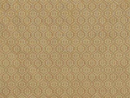 Bijoni - Kiwi