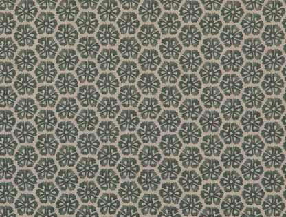Bokul - Eucalyptus
