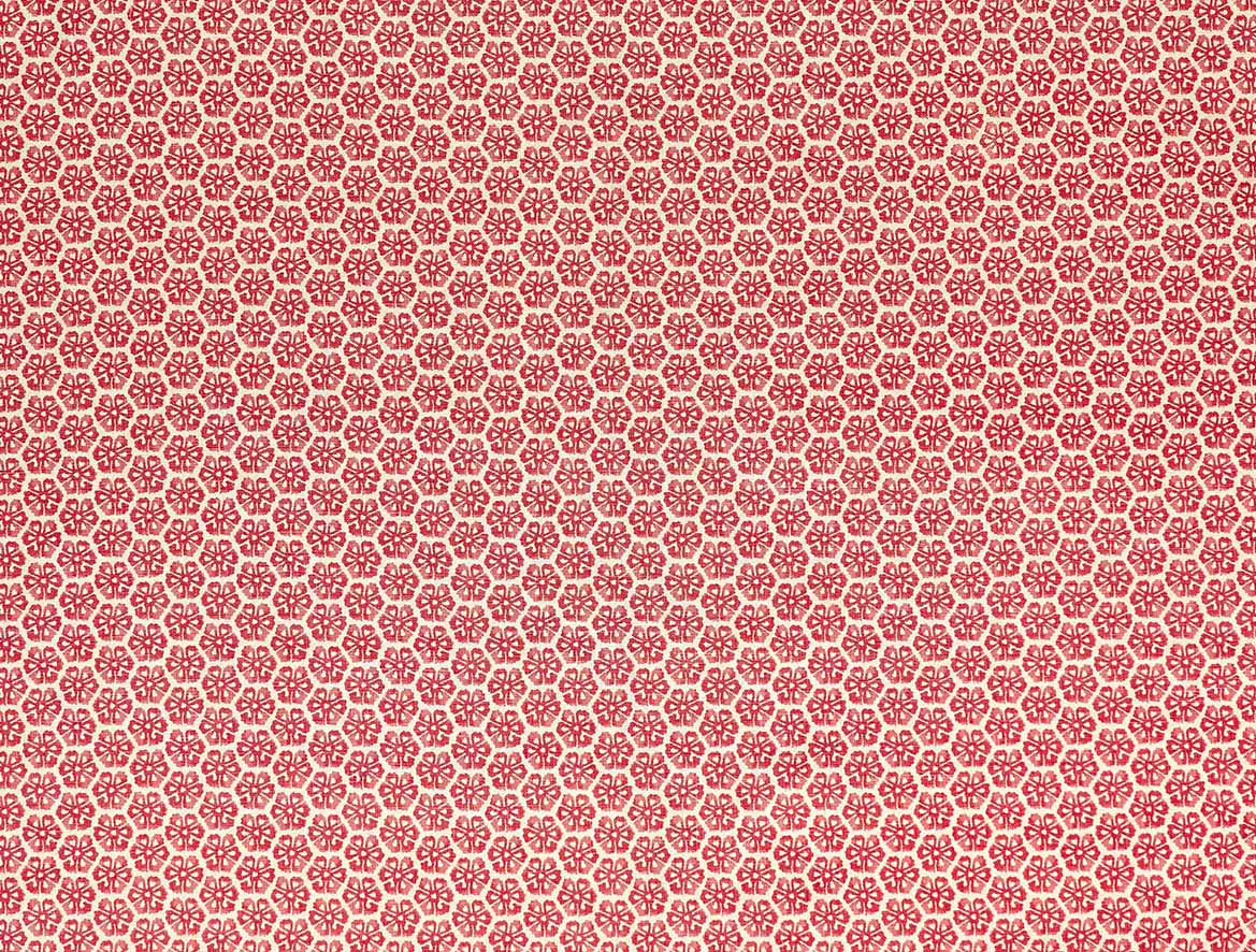 Bokul - Raspberry