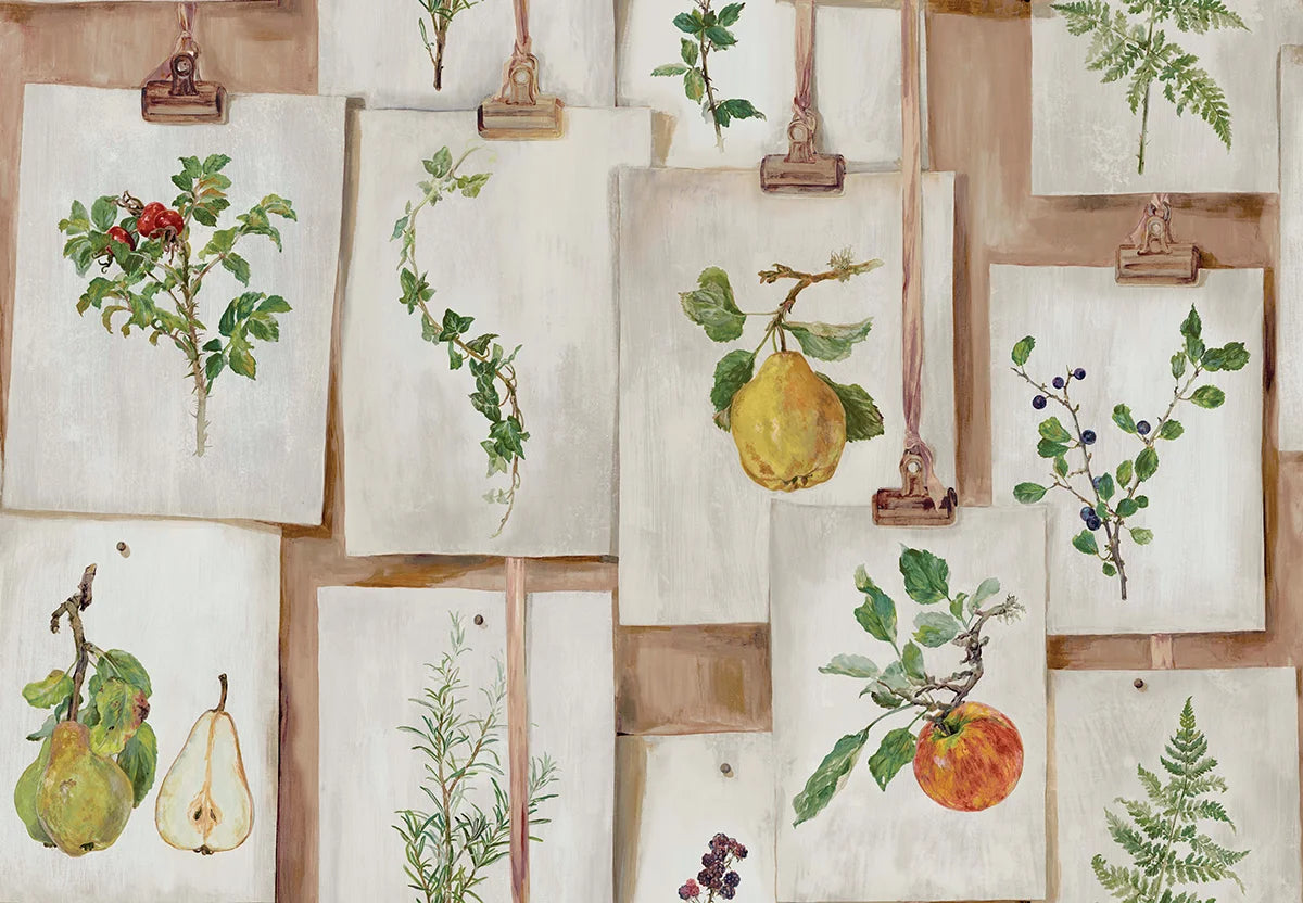 Botanical Studies - Plaster