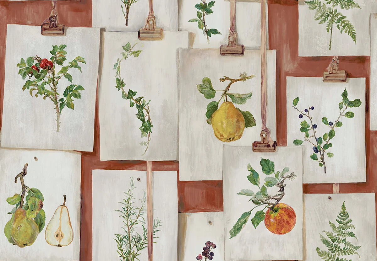 Botanical Studies - Terracotta