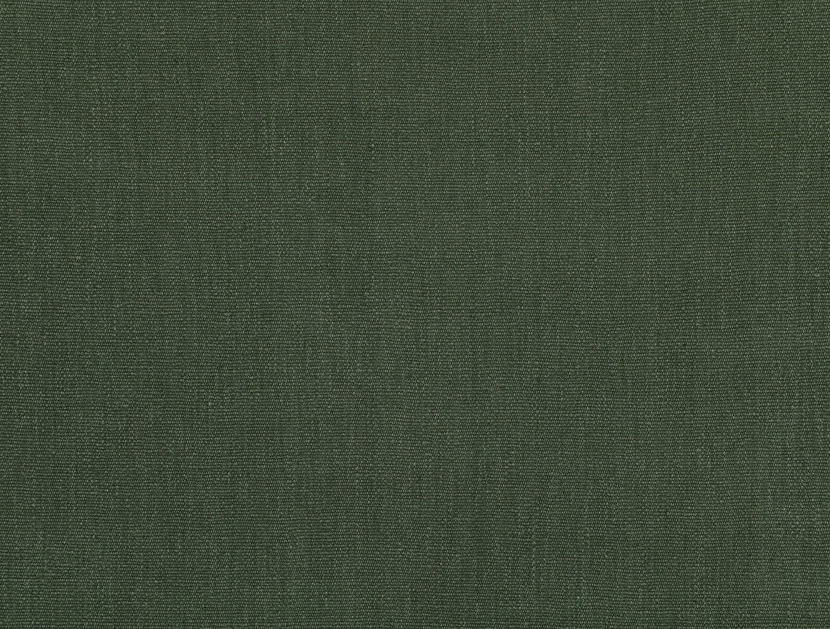 Buray Shardang - Conifer
