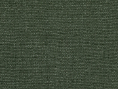 Buray Shardang - Conifer