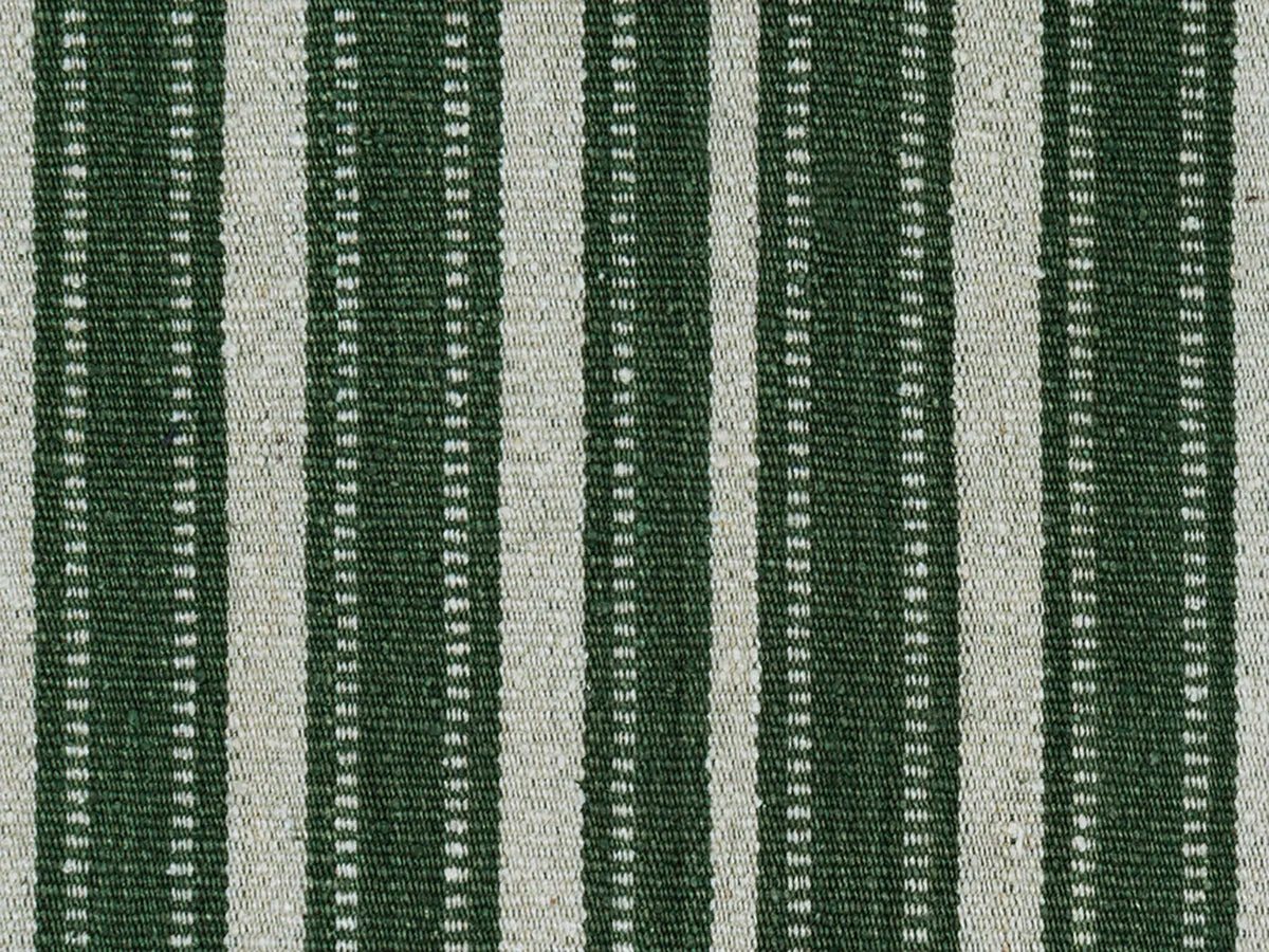 Kiba - Conifer