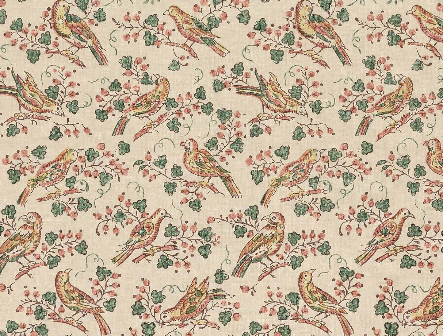 Bulbul - Original