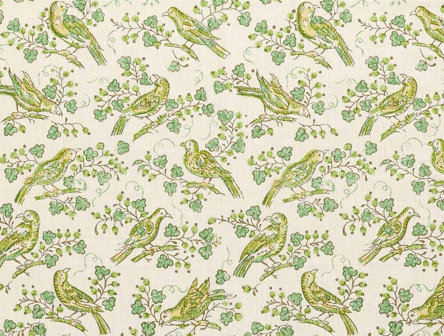 Bulbul - Lemongrass