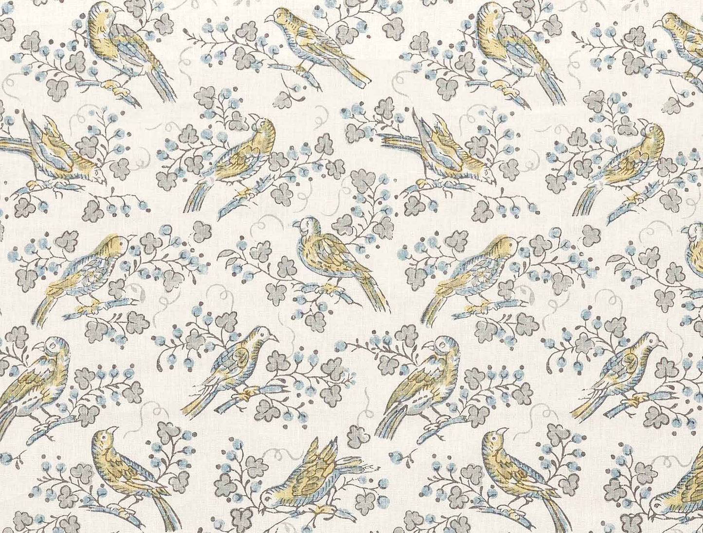 Bulbul - Dove