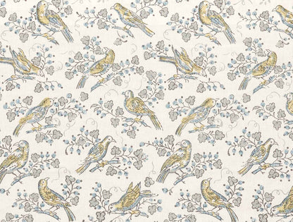 Bulbul - Dove