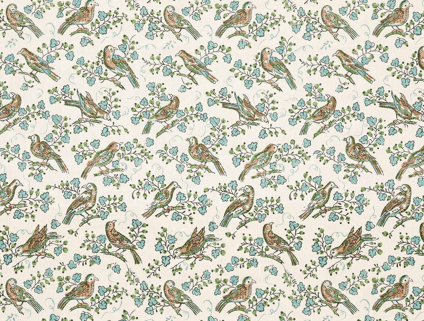 Bulbul - Juniper