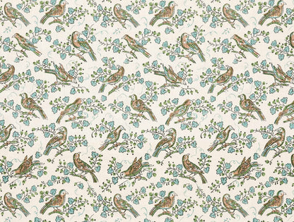 Bulbul - Juniper