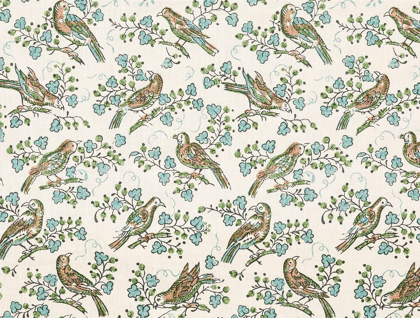 Bulbul - Juniper