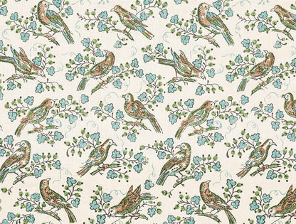 Bulbul - Juniper