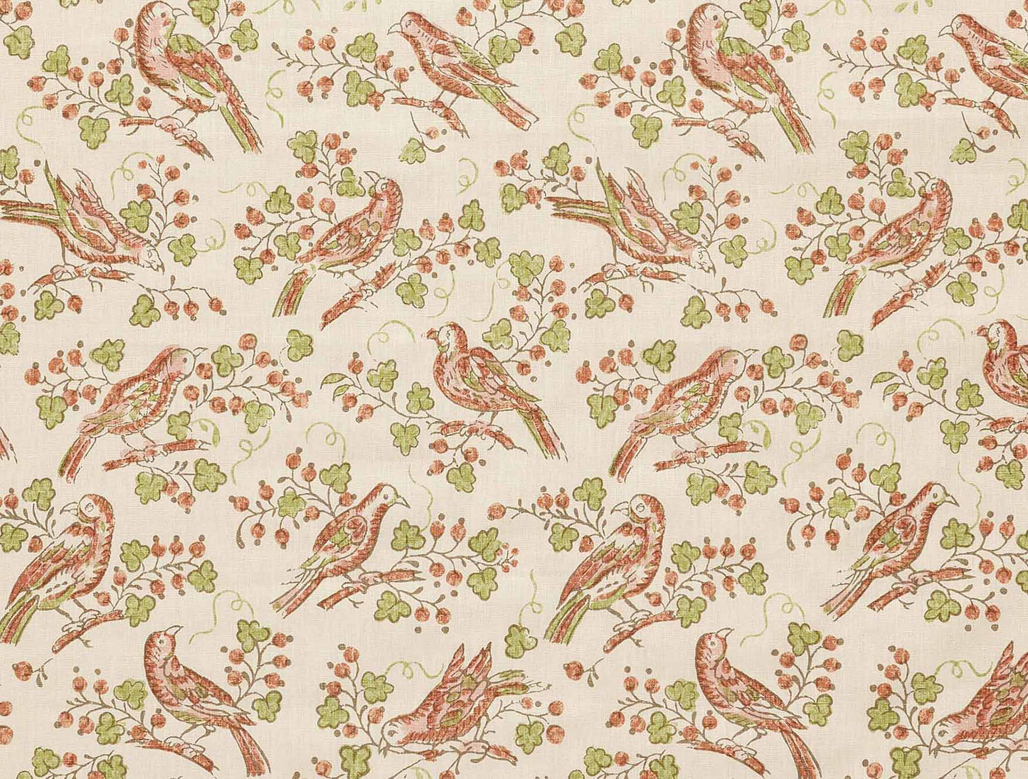 Bulbul - Peach