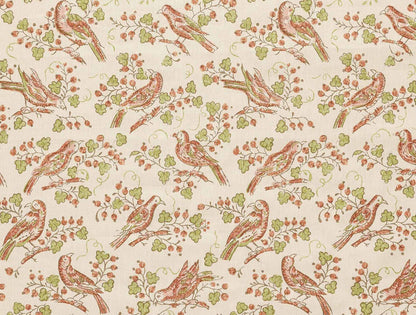 Bulbul - Peach
