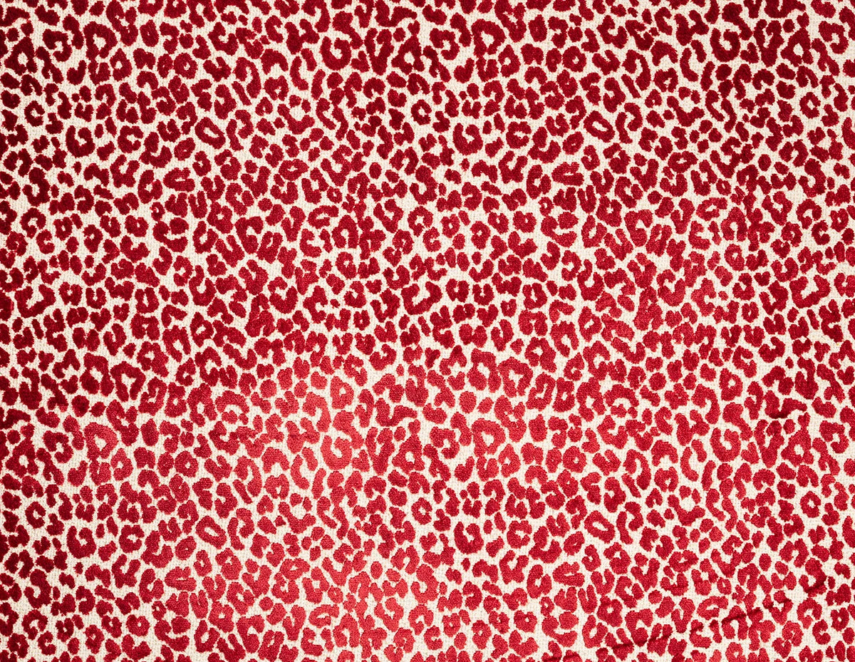 Bagheera Jacquard - Fuchsia
