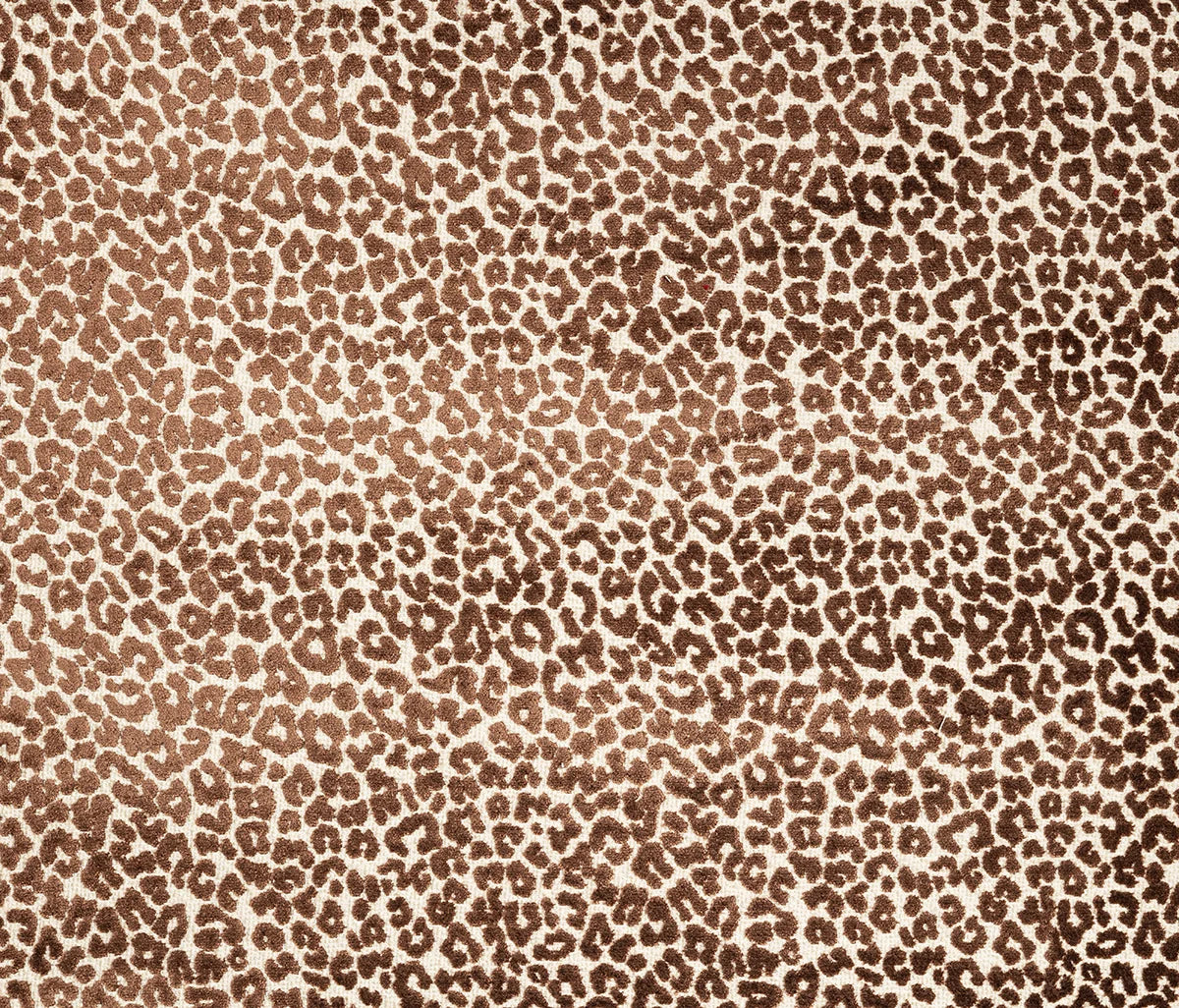 Bagheera Jacquard - Marron