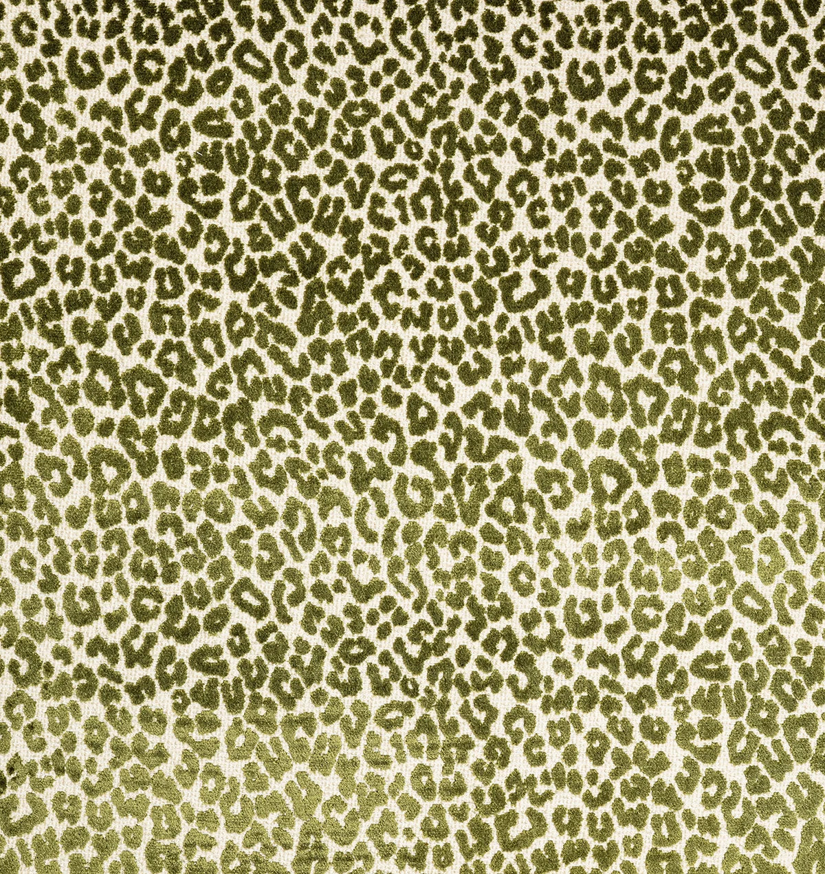 Bagheera Jacquard - Vert
